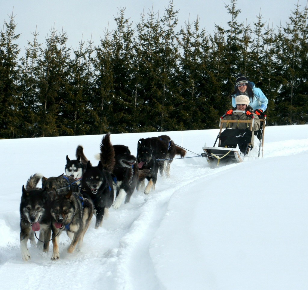 JFSS Cup International Dogsled Race