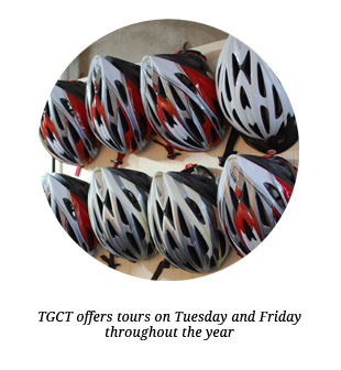 TGCT on Tuesdays and Fridays TGCT on Tuesdays and Fridays