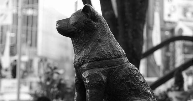 Hachiko Statue