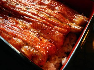 Japanese Unagi Rice Bowl