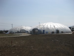 Gandpa’s domes