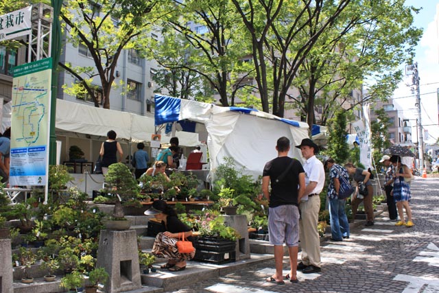 Bonsai and Greenery Fair in Azabu Juban