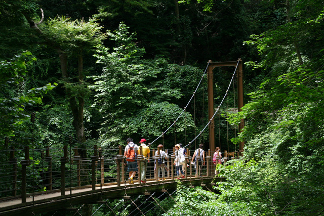 Mount Takao Suspension Bridge Andrew Ng