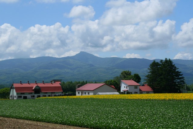 Summer in Hokkaido