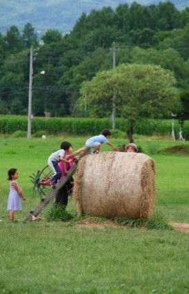 Summer in Hokkaido