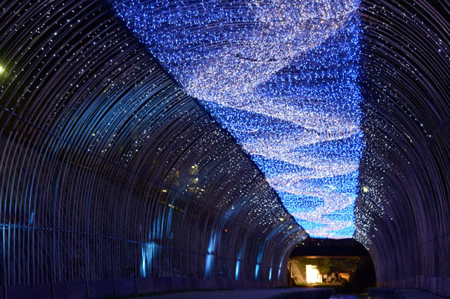 kyoto-tanabata