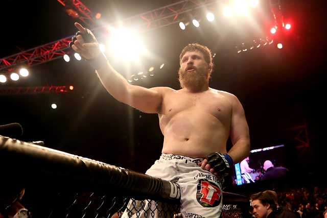 Roy-Nelson-UFC