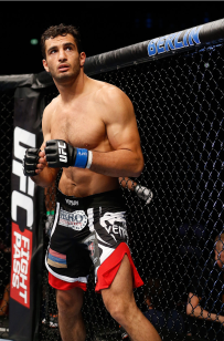 gegard-mousasi-ufc