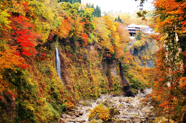 yuzawa-akita