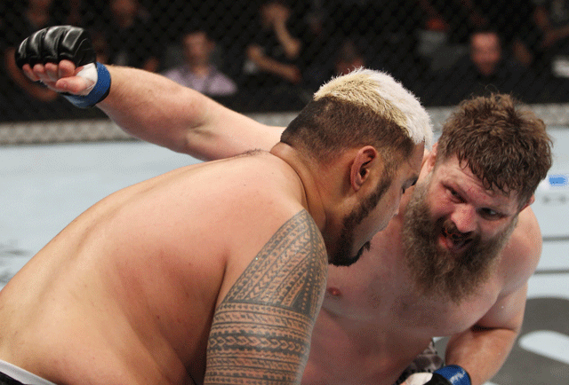 ufc-roy-nelson-fight-night