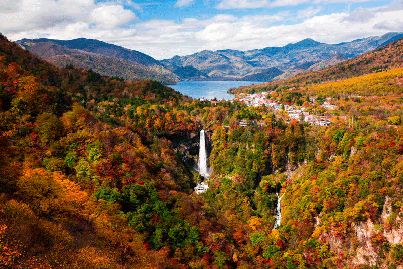 nikko-fall-foliage