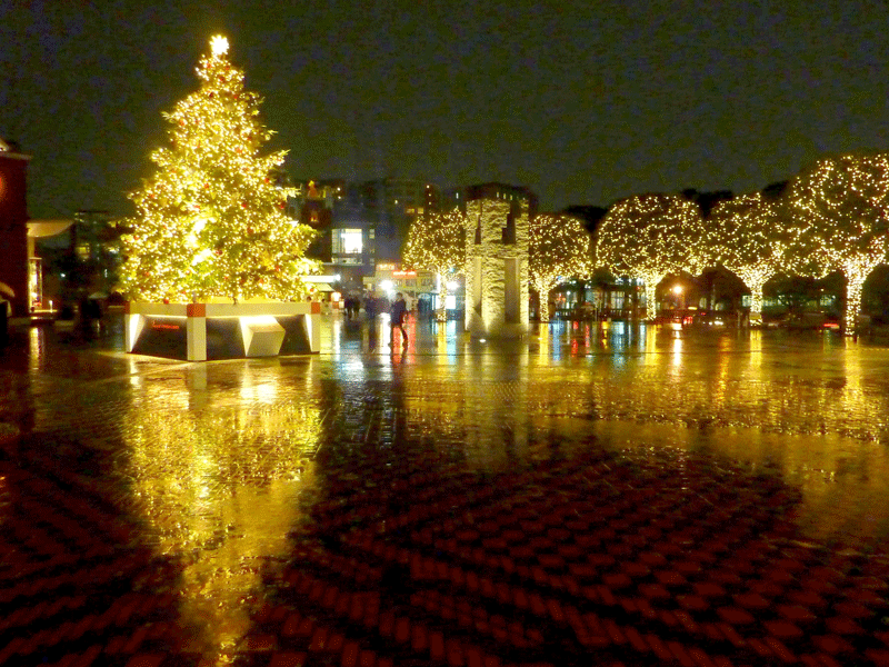 winter-activities-tokyo