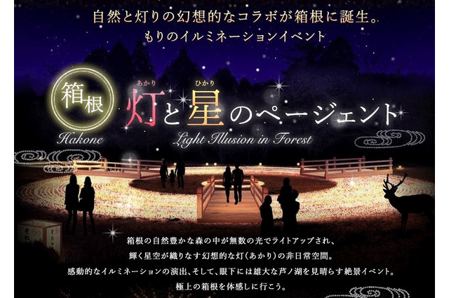 hakone-forest-illumination