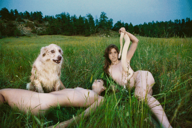 ryan-mcginley