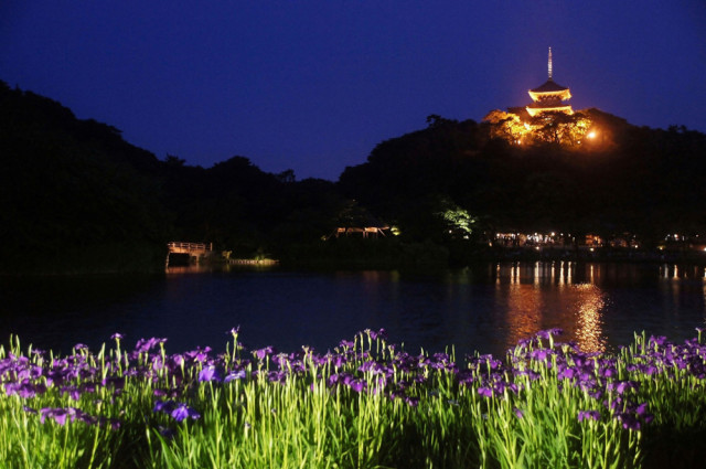 sankeien fireflies