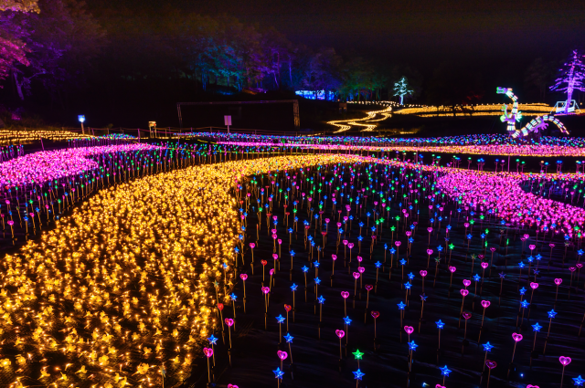 Tokyo Weekender Myoko Happines Illumination