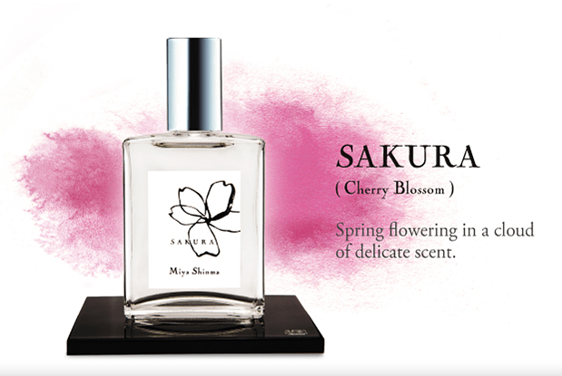 sakura perfume