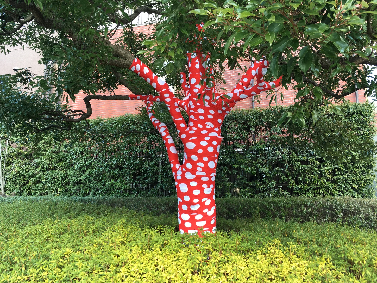 At the entrance to the National Art Center in Roppongi, even the trees have been Yayoi Kusama-fied