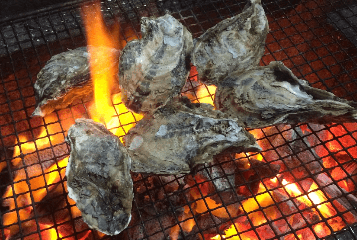 oysters