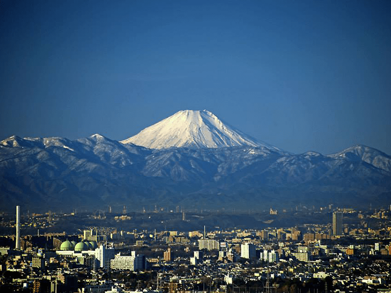 Tokyo-Metropolitan-Government-Building-Observatories