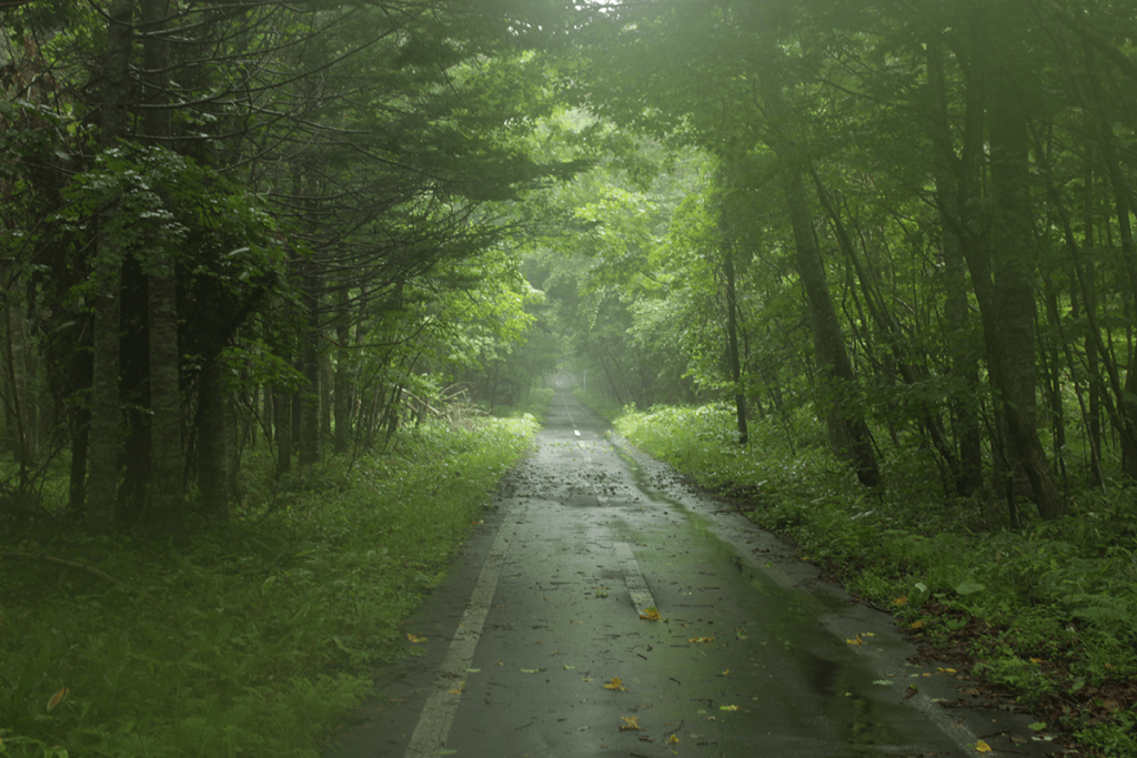 cycling-in-hokkaido