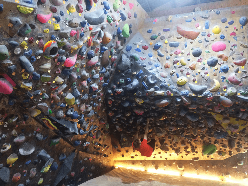 bouldering-rhino-and-bird3