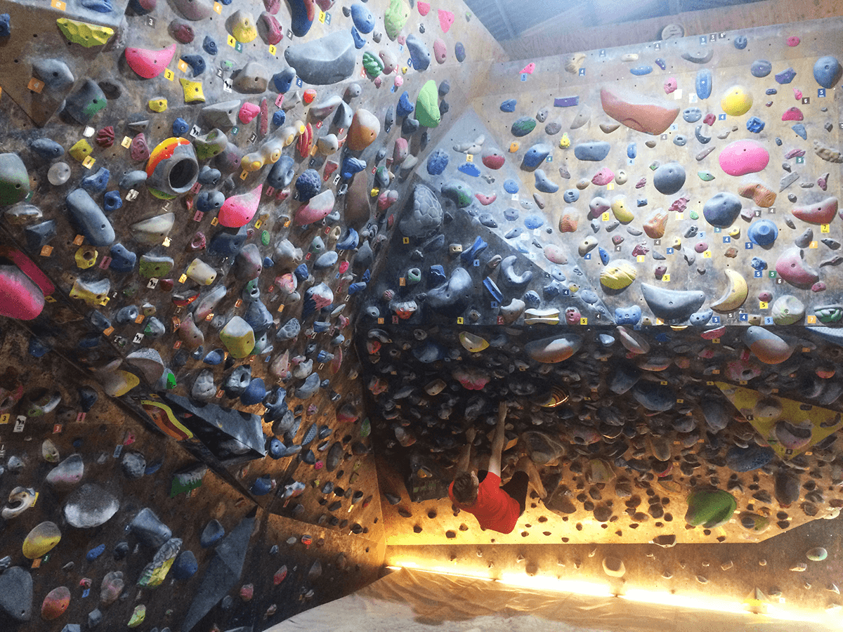 bouldering-rhino-and-bird3