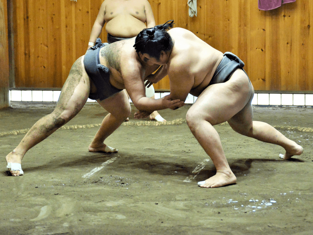 sumo-wrestler