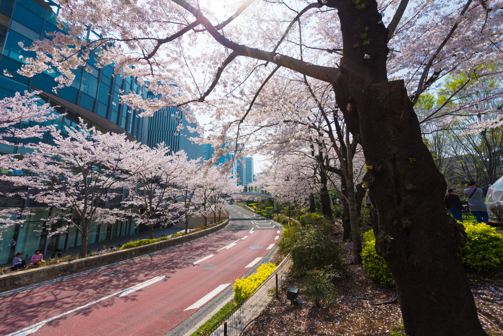 Roppongi