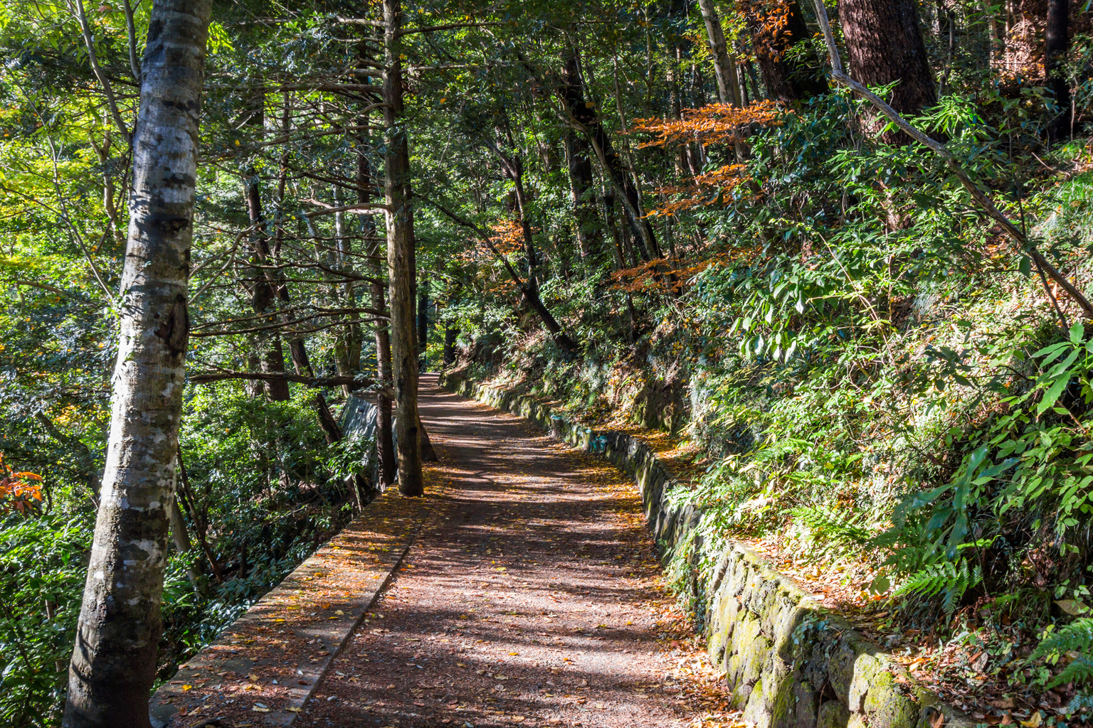 Mount Takao