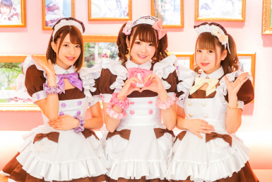 Maid café waitresses from Tokyo cafe