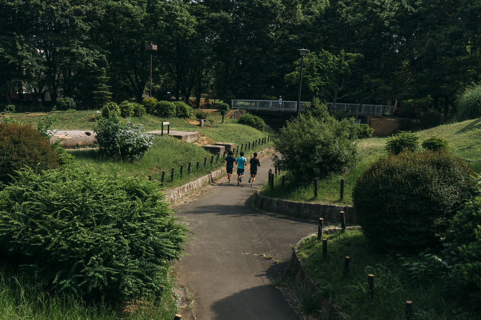 okubo park