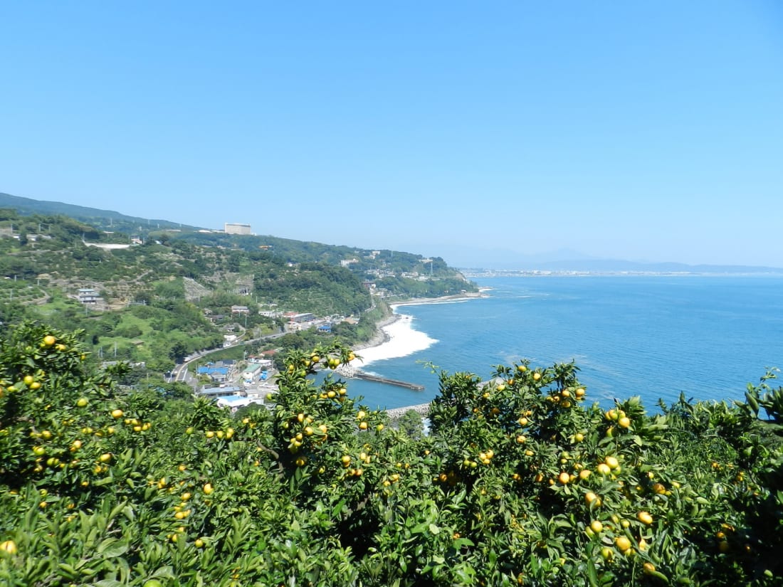 The view of Sagami Bay from Enoura Observatory Odawara Tokyo Weekender