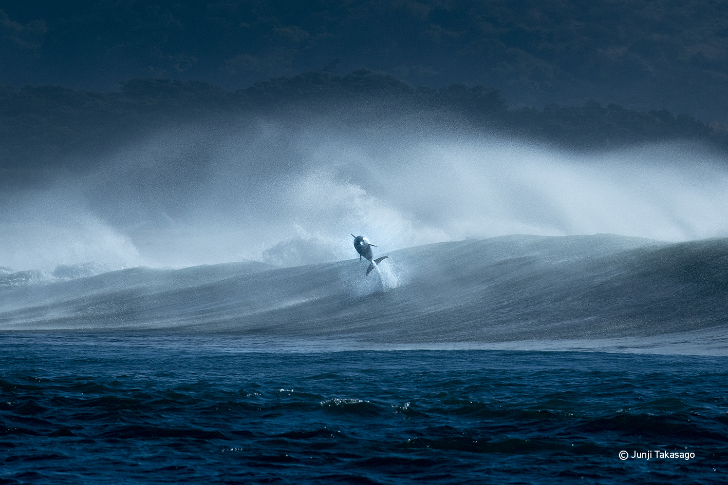 Junji Takasago Planet of Water