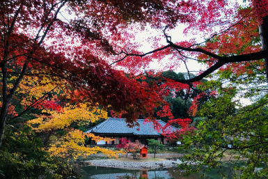 Joruri-ji in Kyoto