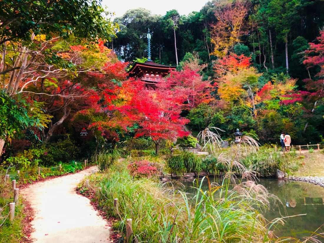 Joruri-ji temple in Kyoto