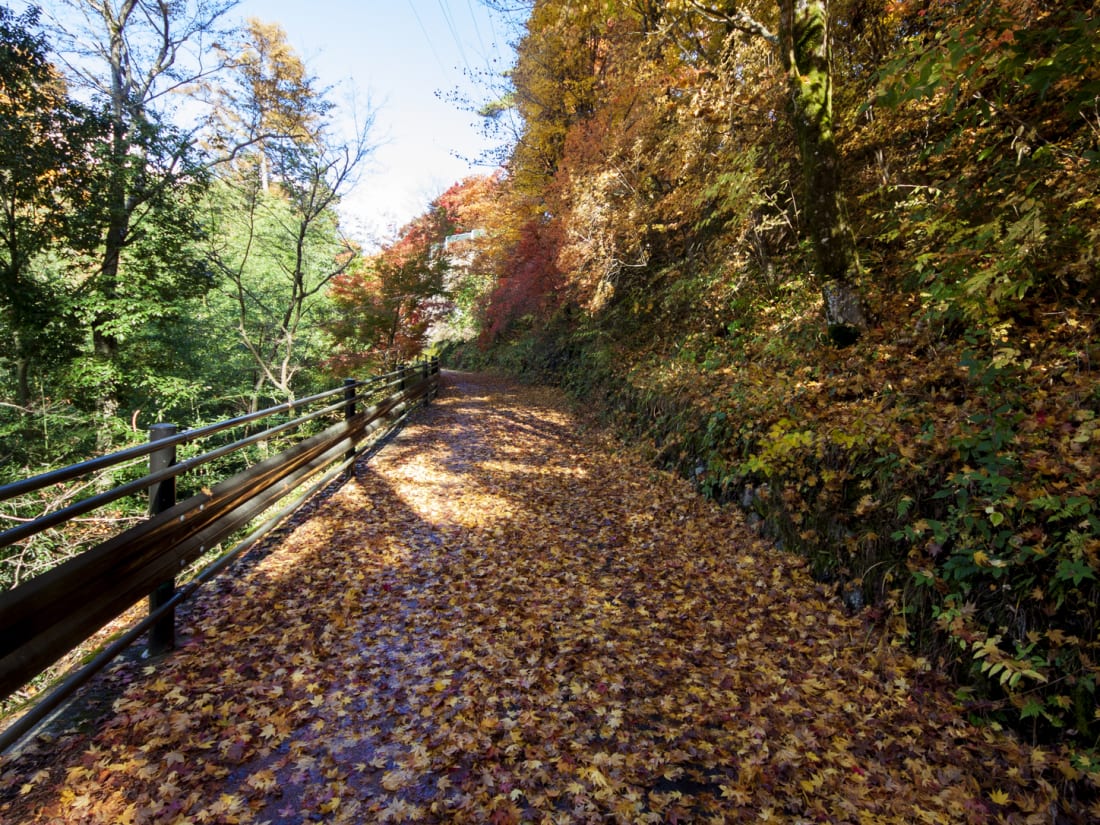 Tenryukyo Gorge