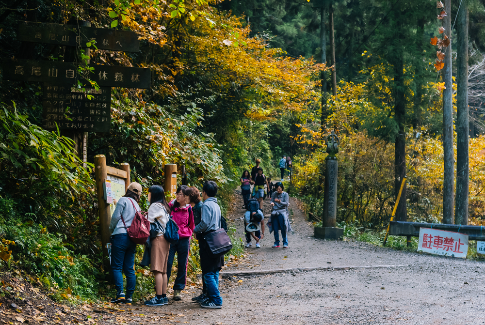 Hiking Mount Takao