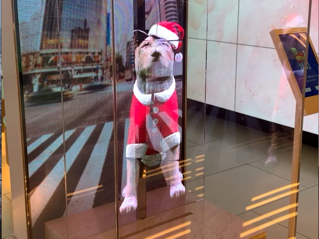 Digital Hachiko at Tokyu Plaza