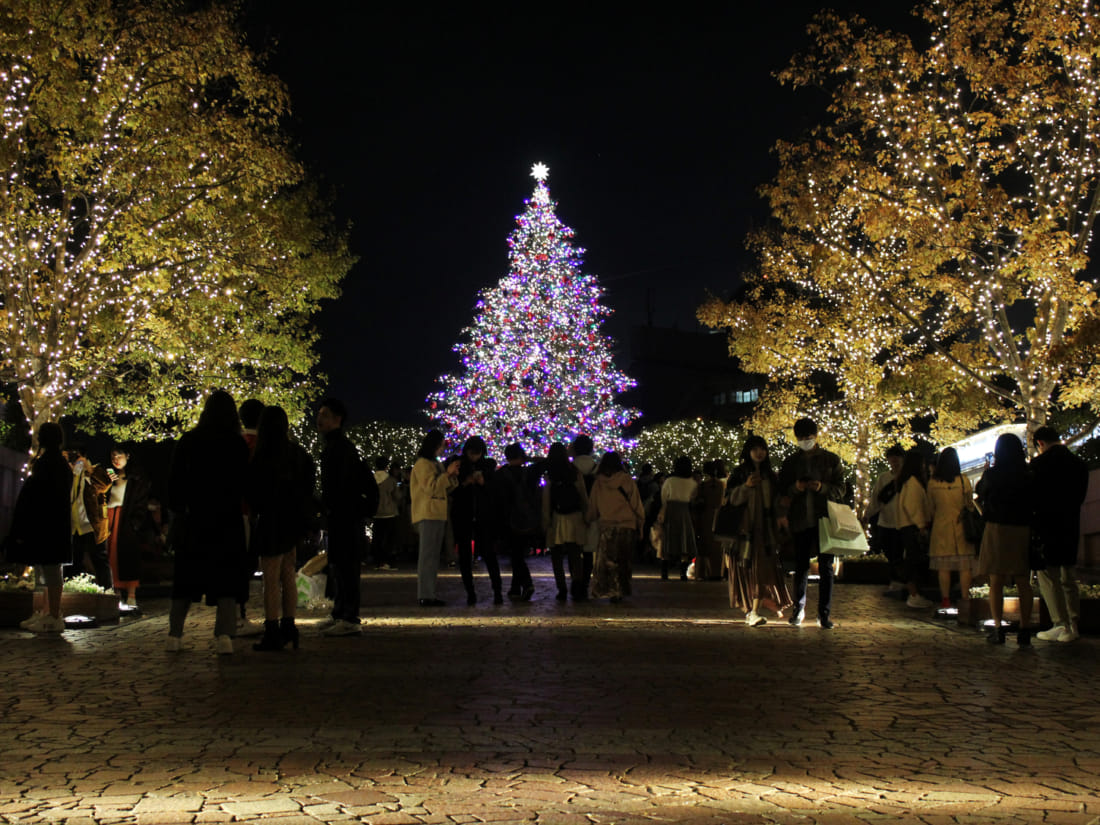 Ebisu Garden Christmas Illumination