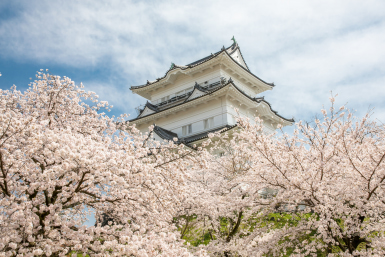 Odawara Castle