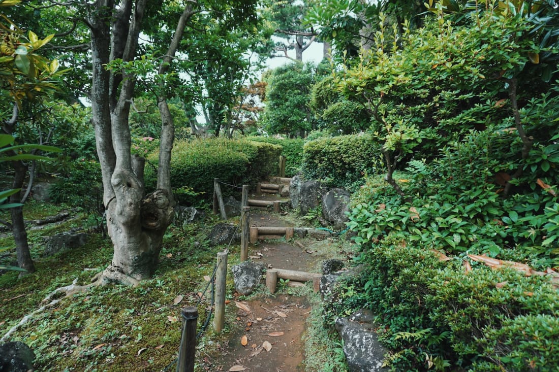 Cliffs around Seijo Setagaya Tokyo Weekender