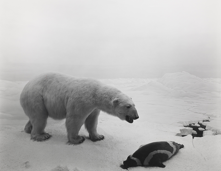 Mori Art Museum Hiroshi Sugimoto