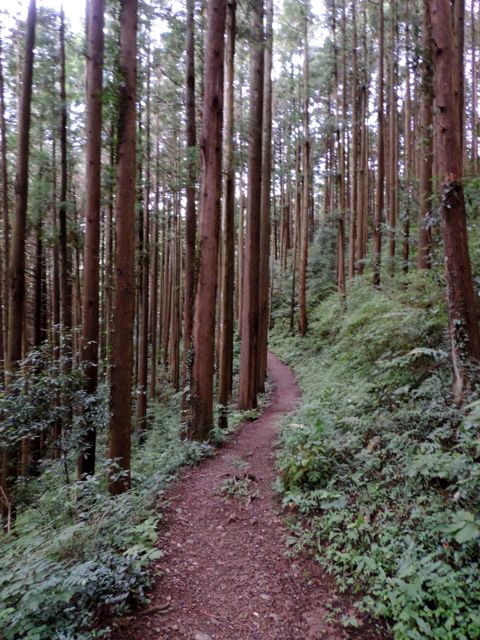 Mount Hinode