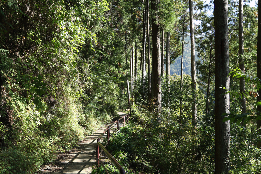 Okutama hiking trail