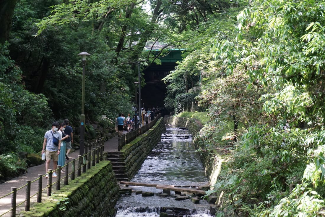 Todoroki Valley