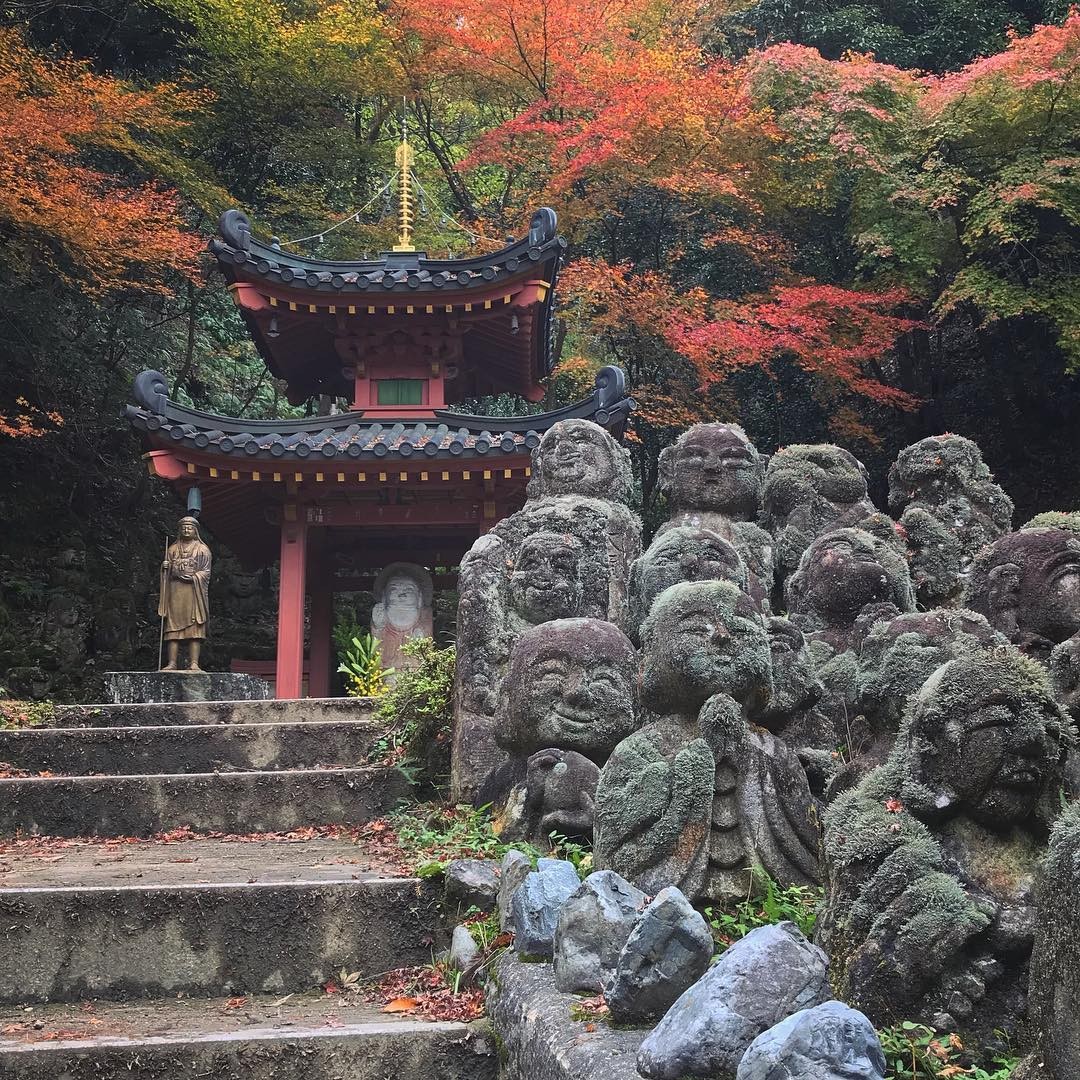 Kyoto Buddhist head priest