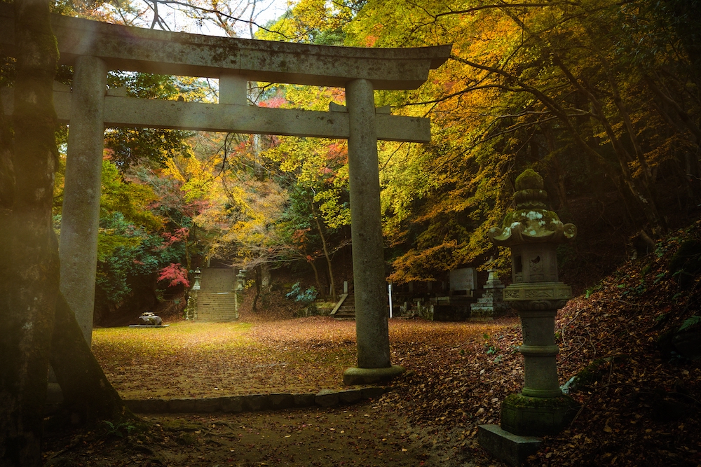 Chizu_Suwa Shrine