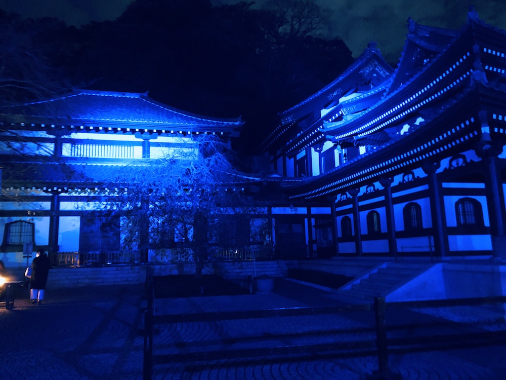 Kamakura hasedera lightup