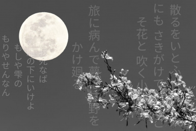 Japanese death poems